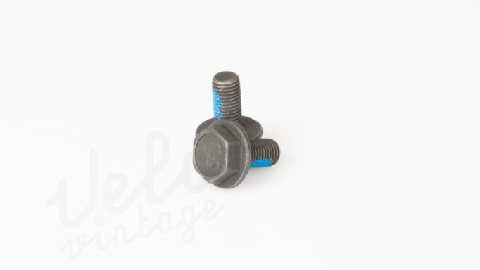 Sunrace Krankbolte BAS05 | M8 | 2. Stk