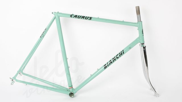 NOS Bianchi Caurus Frame 53-6