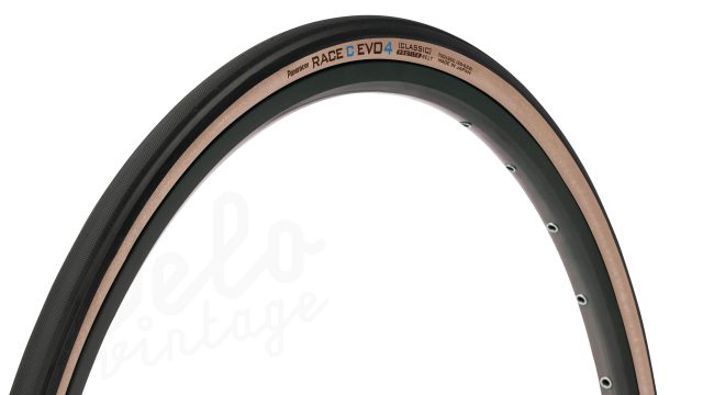 Panaracer Race C Evo 4 Classic -1
