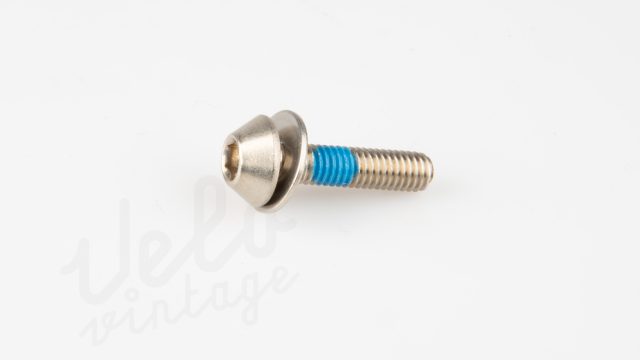 M6x25mm Screw for Canti/V-brakes