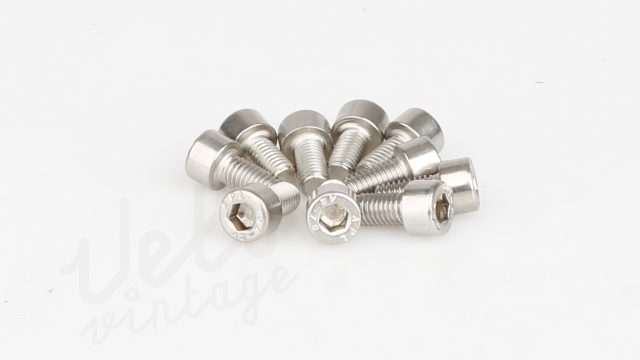 10 stk Rustfri M5x10mm Unbracobolte